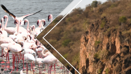 Chuine Brochure-cover