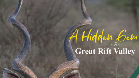 Irong Brochure-cover